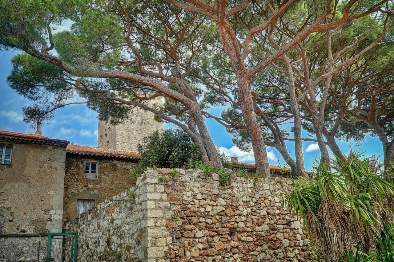 Immogroom - 5 Min From Beaches - Suquet - Ac 戛纳 外观 照片